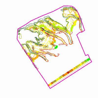 Export Image